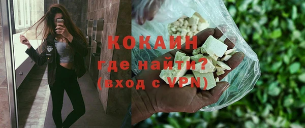 ешки Аркадак