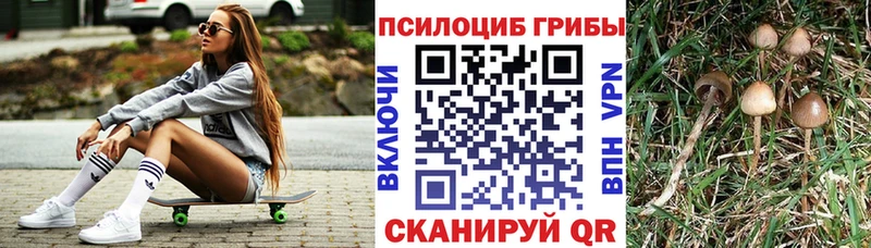 Псилоцибиновые грибы Psilocybe  Осташков 