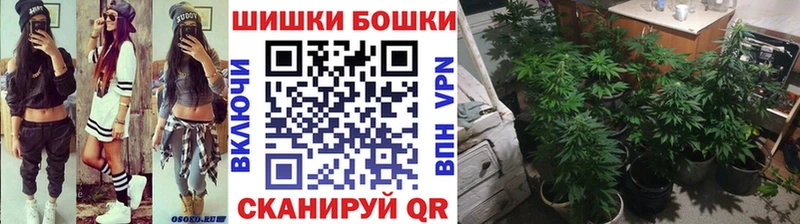 Шишки марихуана семена  OMG как войти  Осташков  как найти наркотики 